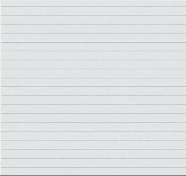 Innenansicht des SATIN Garagentors mit TS100-Führungsschiene und weißer Rückseite.