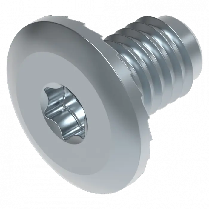 Flachkopf Schraube  M8 TORX 30 Schweighöfer Tore