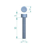 Innensechskantschraube M5 x 30 Schweighöfer Tore