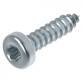 Schraube 3.9 x 16 mm Torx EV Schweighöfer Tore