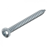 Schraube 3.9 x 38 mm Torx Edelstahl Schweighöfer Tore